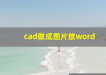 cad做成图片放word