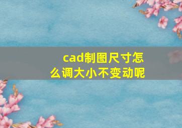 cad制图尺寸怎么调大小不变动呢