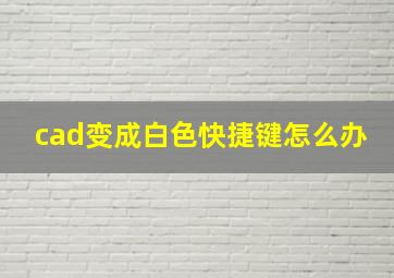 cad变成白色快捷键怎么办