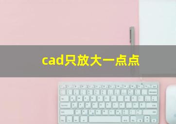 cad只放大一点点