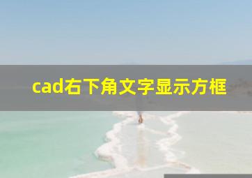 cad右下角文字显示方框