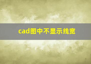 cad图中不显示线宽