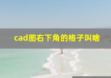 cad图右下角的格子叫啥