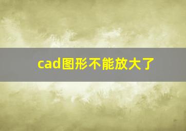 cad图形不能放大了