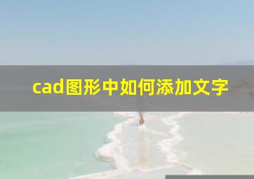 cad图形中如何添加文字