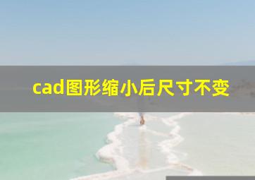 cad图形缩小后尺寸不变