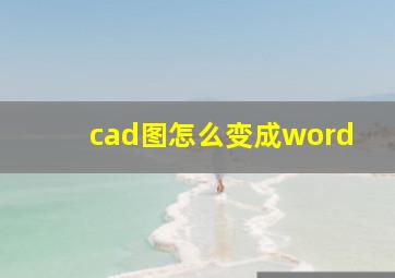 cad图怎么变成word