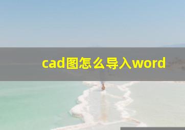 cad图怎么导入word