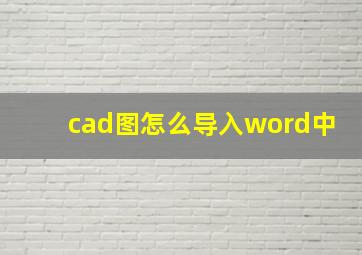 cad图怎么导入word中