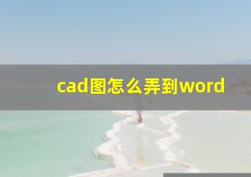 cad图怎么弄到word