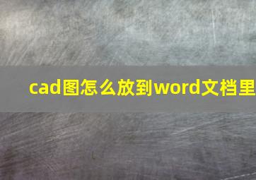 cad图怎么放到word文档里