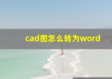 cad图怎么转为word