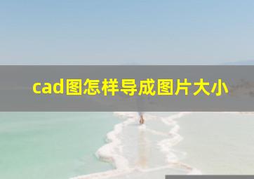 cad图怎样导成图片大小