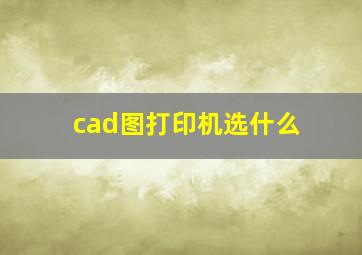 cad图打印机选什么