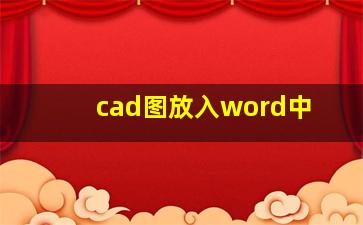 cad图放入word中