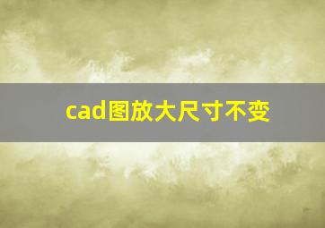 cad图放大尺寸不变