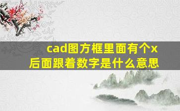 cad图方框里面有个x后面跟着数字是什么意思