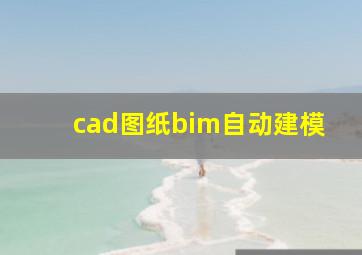 cad图纸bim自动建模