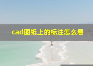 cad图纸上的标注怎么看