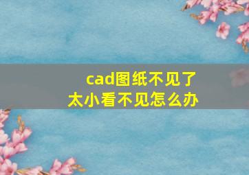 cad图纸不见了太小看不见怎么办