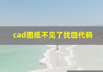 cad图纸不见了找回代码