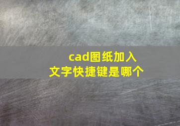 cad图纸加入文字快捷键是哪个