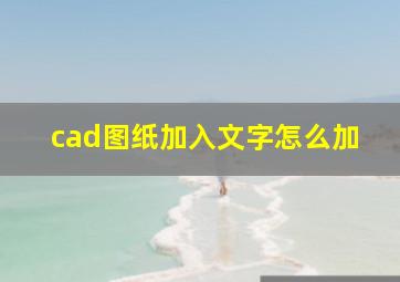 cad图纸加入文字怎么加