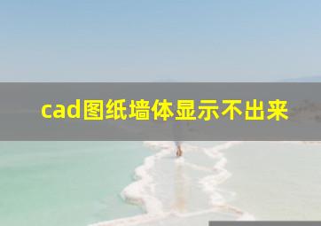 cad图纸墙体显示不出来