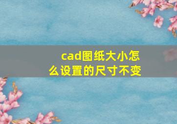 cad图纸大小怎么设置的尺寸不变