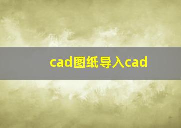 cad图纸导入cad