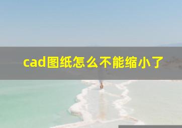 cad图纸怎么不能缩小了