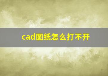 cad图纸怎么打不开