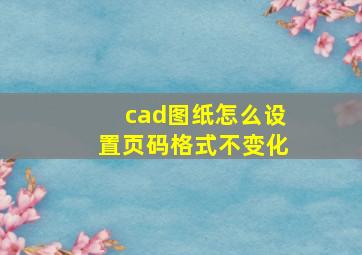 cad图纸怎么设置页码格式不变化