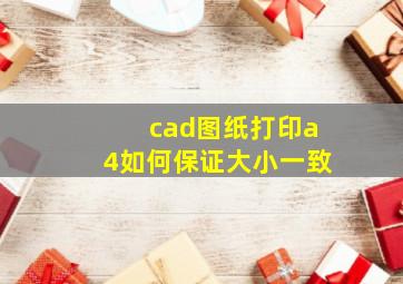 cad图纸打印a4如何保证大小一致