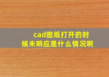 cad图纸打开的时候未响应是什么情况啊