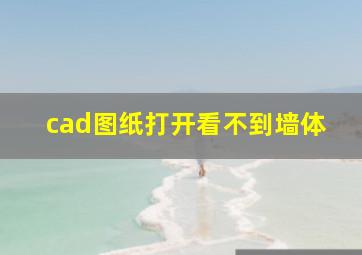 cad图纸打开看不到墙体