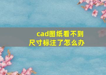 cad图纸看不到尺寸标注了怎么办