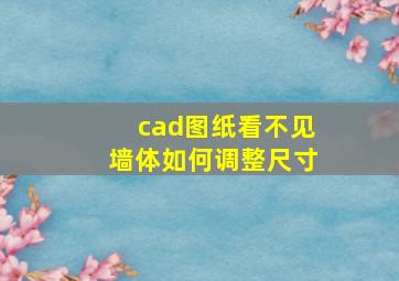 cad图纸看不见墙体如何调整尺寸