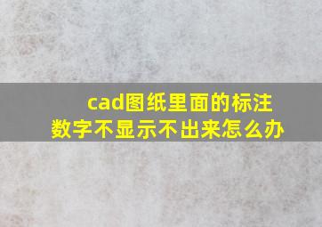 cad图纸里面的标注数字不显示不出来怎么办