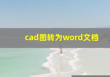 cad图转为word文档