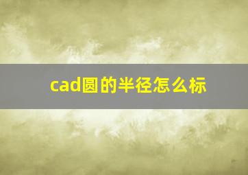 cad圆的半径怎么标