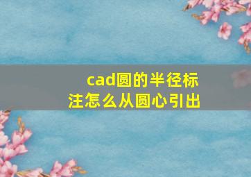 cad圆的半径标注怎么从圆心引出