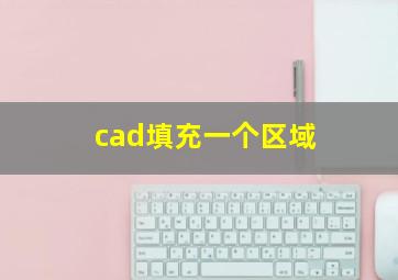 cad填充一个区域