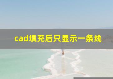 cad填充后只显示一条线