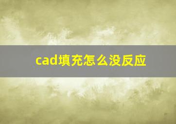 cad填充怎么没反应