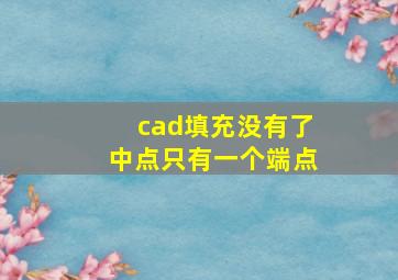 cad填充没有了中点只有一个端点