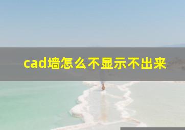 cad墙怎么不显示不出来