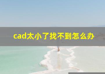 cad太小了找不到怎么办