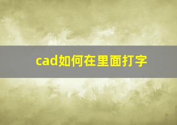 cad如何在里面打字