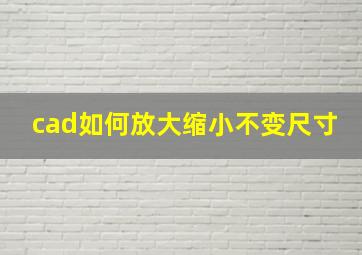 cad如何放大缩小不变尺寸